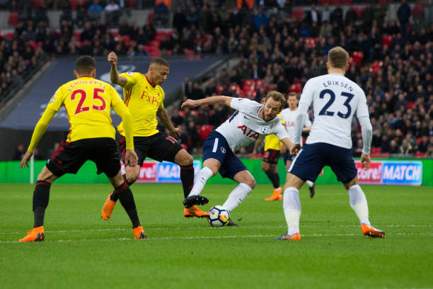 球迷和球队 球迷和球队