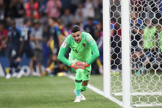 我们期待着 我们期待着